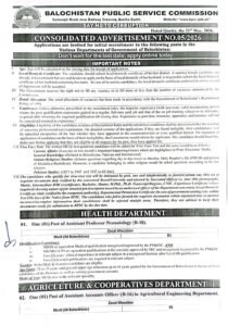 Balochistan Public Service Commission BPSC Jobs 2026